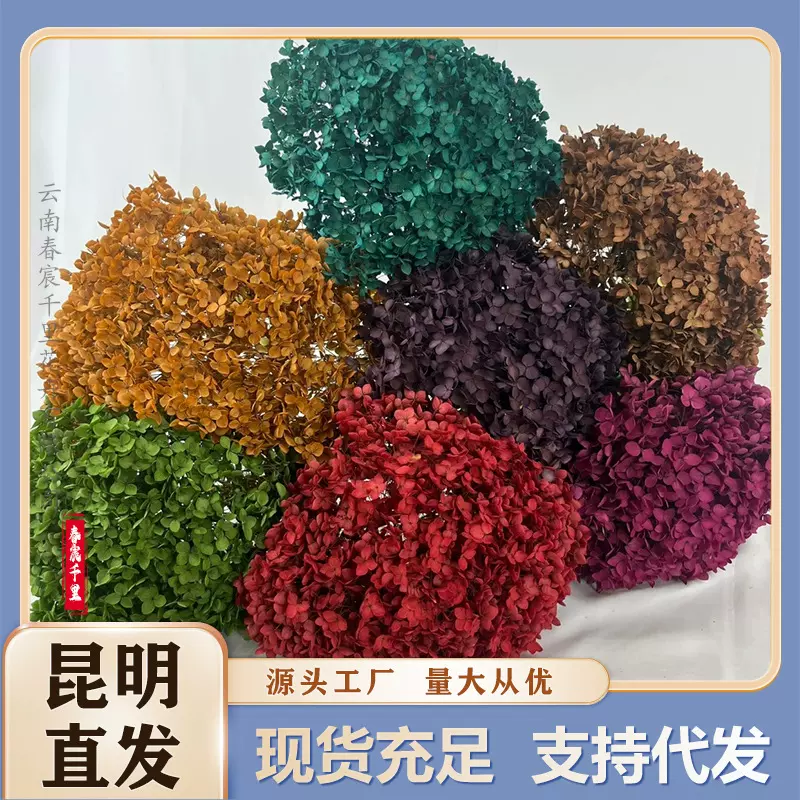 永生花安娜绣球吸色干花花束带杆云南厂家批发圣诞节安娜绣球定制