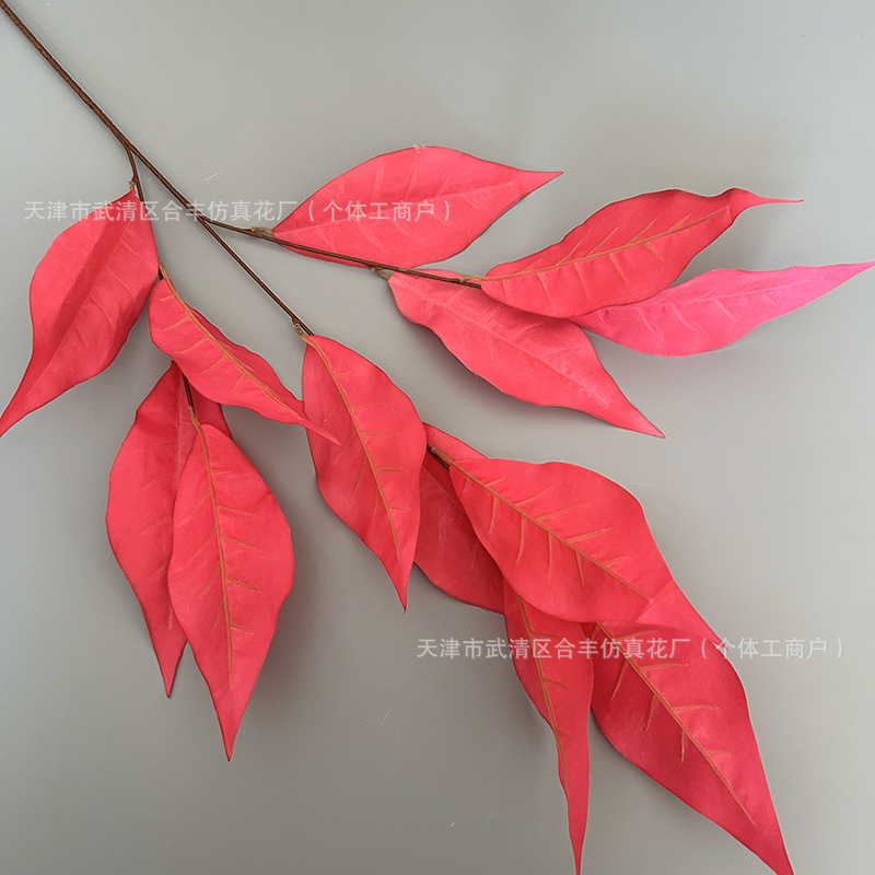 분홍색