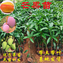 ̨�����â�������ϱ����Nֲ�޽��ļ�â���â���Ե���â����