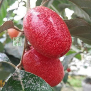 ���̹����ش���ε����̖���j������d�������̹����箔��Y��