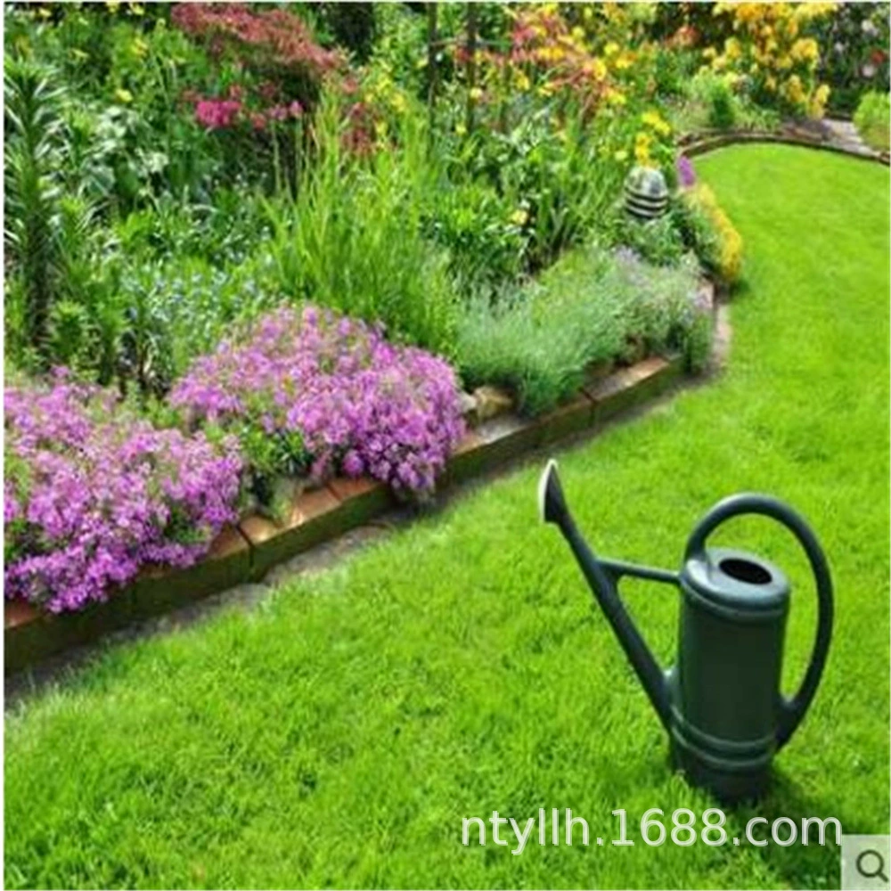 Новый Урожай Подкова Семена Травы Оптом Семена Газона Семена Травы Подкова Сухожилия Псевдоним Потомки