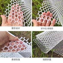 ◇加厚阳台防护网塑料网格网家用楼梯拦防掉落猫网漏粪网养殖