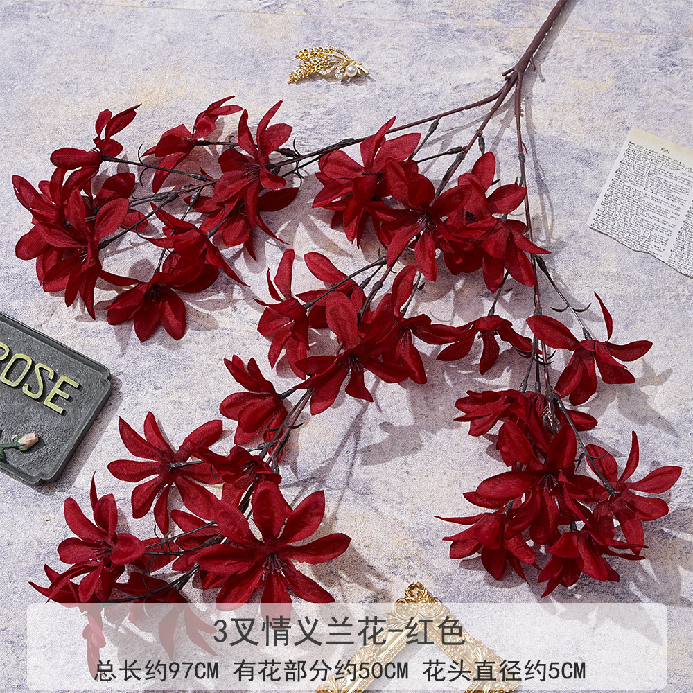 Xq three-forked friendship orchid - red
