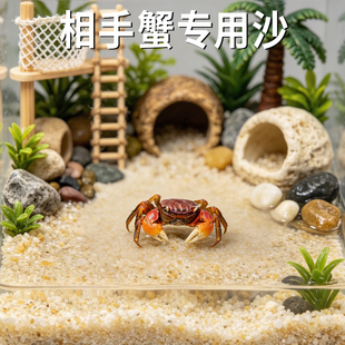 ����з����ɳ��ϴ��Ȼ���_��ɳ���~����B���ɰ�|������з�쾰