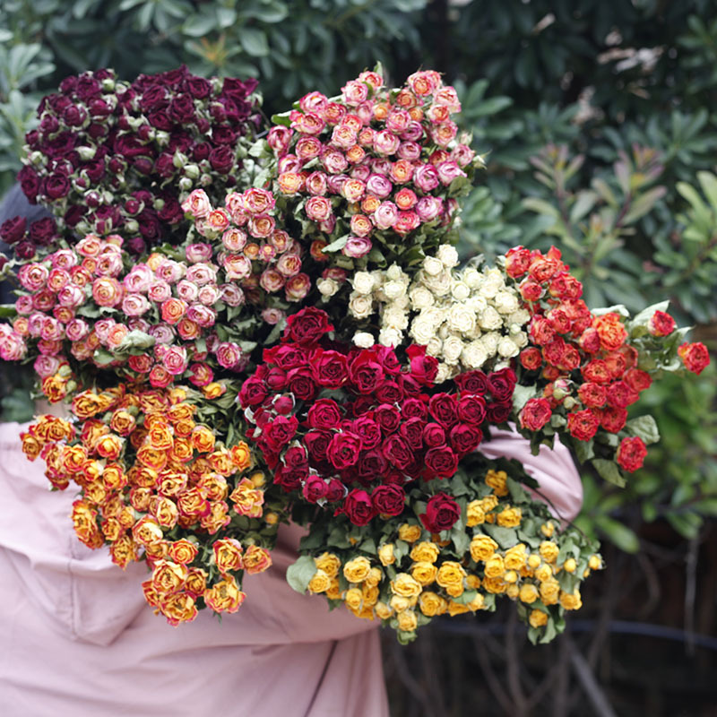 Rose dried flower multi-head rose rose Little Rose Barbie rose DIY drop gum aromatherapy candle factory wholesale