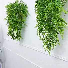 户外人造蕨类植物波斯草藤条仿真绿植波斯壁挂藤蔓装饰植物墙