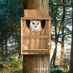屋外木製フクロウハウス 吊り下げ式 シンプルな木製フクロウの巣 壁掛け式フクロウ木製ハウス クロスボーダー