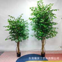 �����Ř���ľ�U�����Ř�����С�~�ŷ���Gֲ������҃��bپGֲ