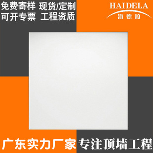 Supply engineering ceiling panel 600 factory ceiling small ceiling ceiling, ceiling, ceiling, ceiling, ceiling 60060