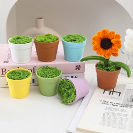 花盆容器;鲜花花艺制品;装饰花瓶