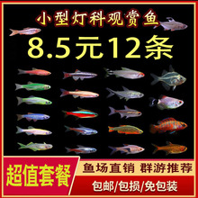 ���R�~�t�G�����~�Ꭷ��ˮ���w�^�p��ʹ����С�͌�ɏ����ȸȺ���~