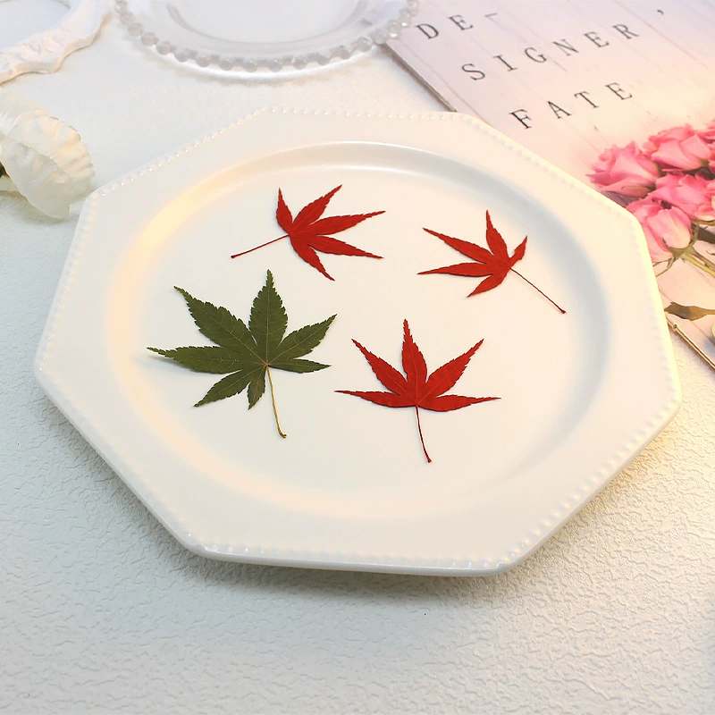 Кленовый лист сухой цветок тиснение diy капельница закладка реальные листья образец растения фоторамка материал ручной работы сухие листья