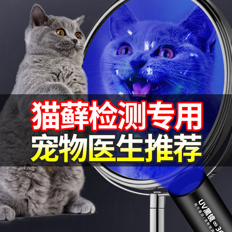 Wood's cat moss lamp detection cat urine fungus detection pen flashlight professional special purple light banknote detection Wood's cat moss lamp detection cat urine fungus detection pen flashlight professional special purple light banknote detection