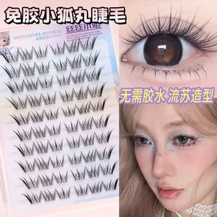 ���z�Ԏ��۾���С��������Ͻ�ë��Ȼ�߼��|�ио��Nб�w�ٽ�ë