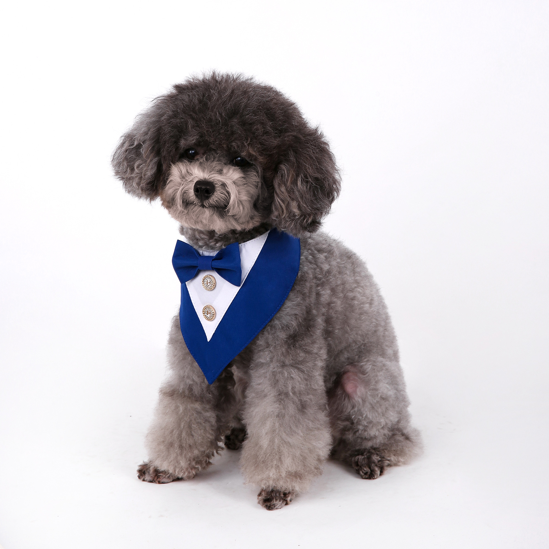 Navidad Año Nuevo Spot transfronterizo boda británica trajes toallas para mascotas bufandas perros velcro toallas para mascotas triángulos