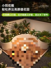 ����ͥԺ���β��P䓻������νM��¶�첼���쾰�Nֲ�l�⻨��