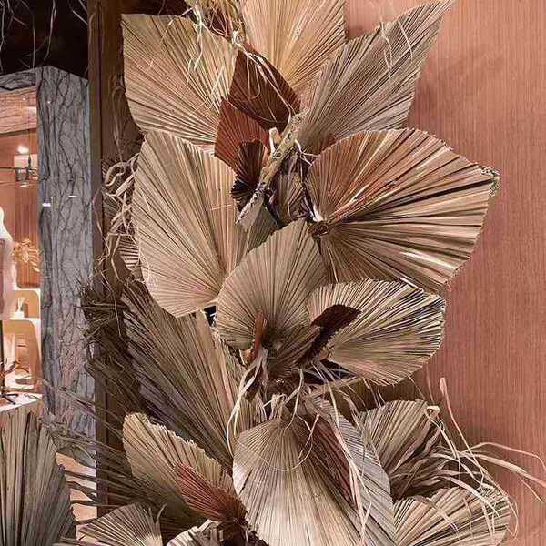Pu Fan Dry Flower Home Decoration Leaf Flower Leaf Palm Flower…