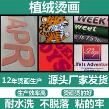 源头厂家绒毛效果可做彩色专色植绒标个性品牌图案logo标植绒烫画