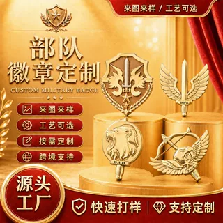 定制非洲国家部队警察徽章欧洲宪兵队胸章锌合金镀金浮雕胸针定制