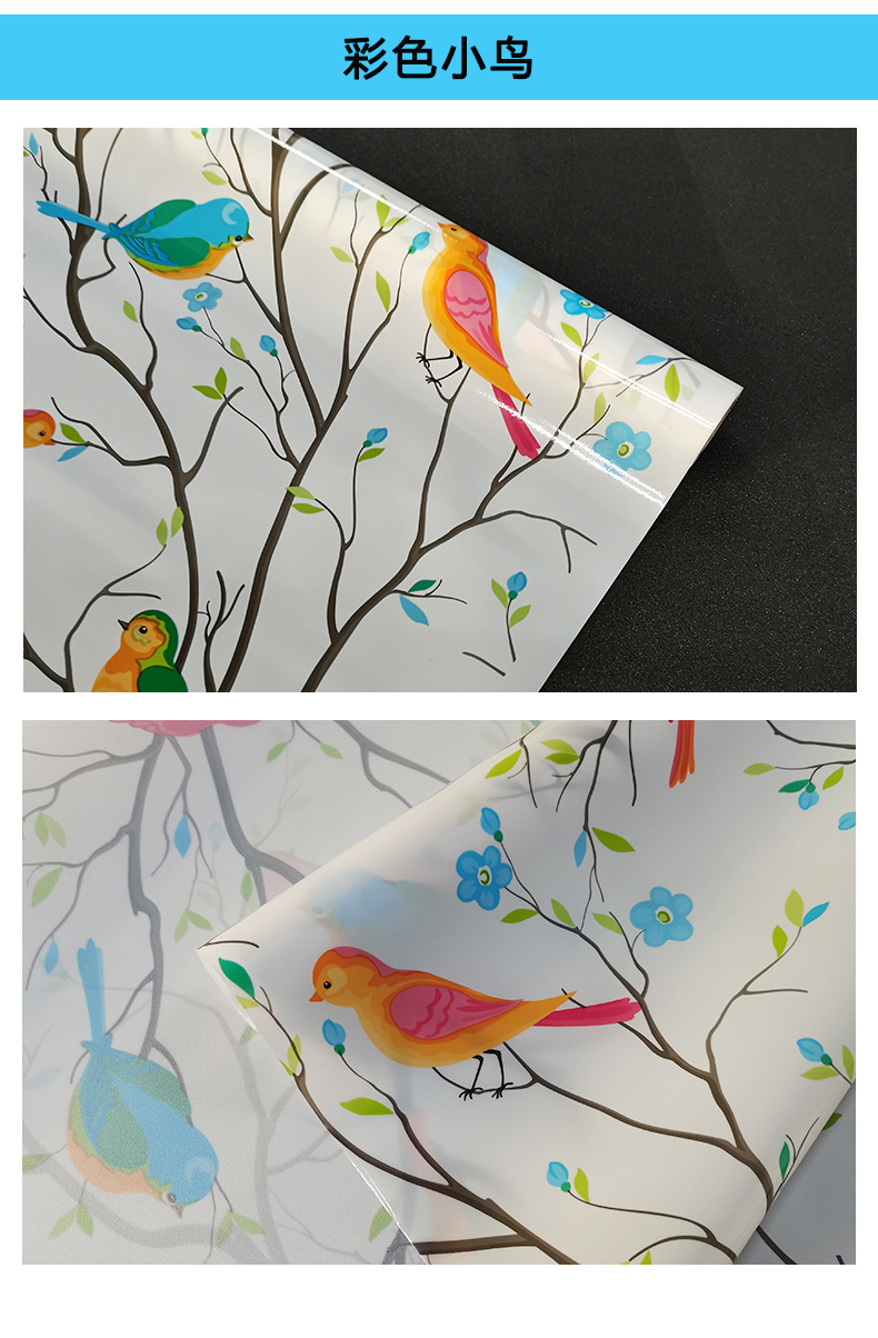 彩色小鸟详情.jpg