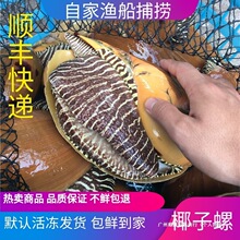 Ұ���r���S��Ҭ�����ش󺣲����r��ݺ��ݴ�����ľ�Ϝu��Ҭ�Ӝu��