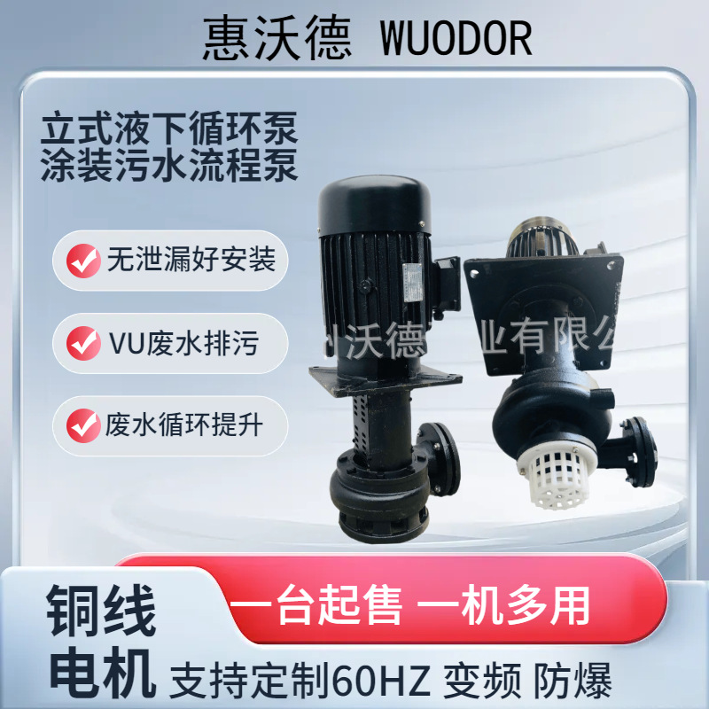 供应流程泵YLX650-80立式无泄漏涂装设备UV柒污水处理潜水液下泵