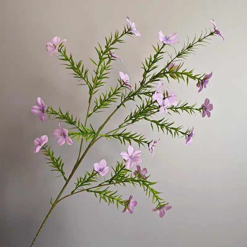 Pequeña flor morada