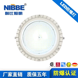 防爆灯;其他防爆器材;应急指示灯具