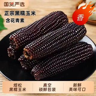 【10根整箱】东北黑糯玉米独立真空包装玉米代餐早餐新鲜美味可口