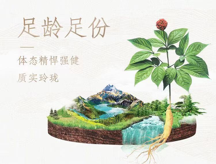 American Ginseng Honey Slices Xi Yang Shen Ready to Eat Herbal Chips 50g Jar overview