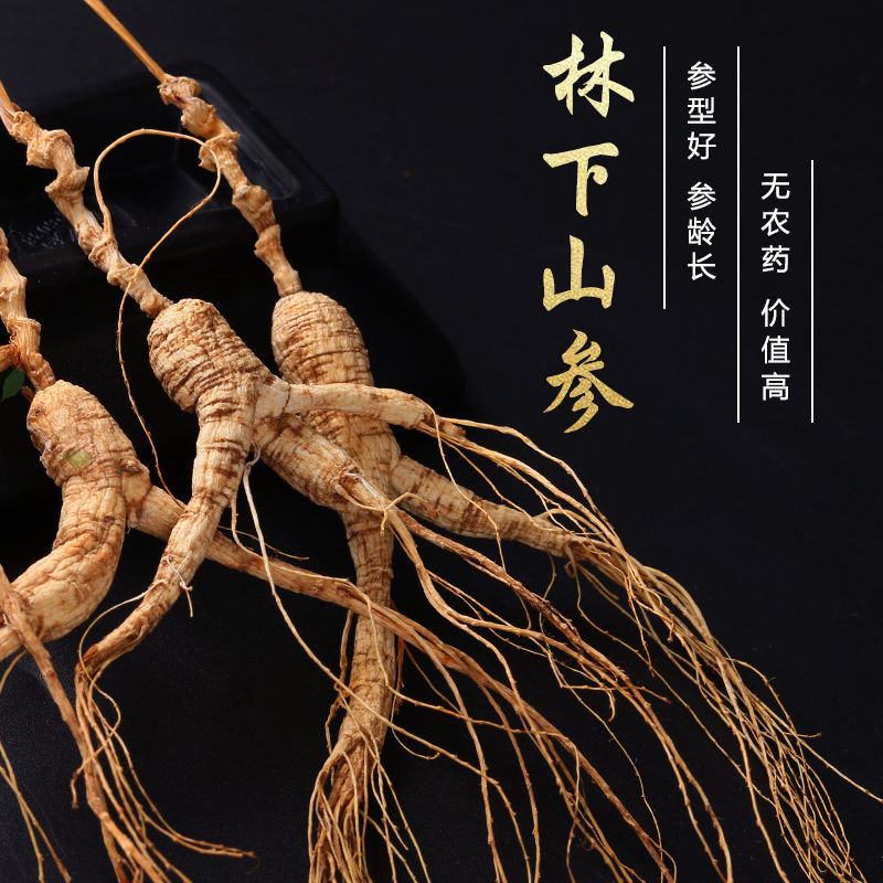 【林下山参】長白山林下参足年老参非園児参足乾山参泡酒炊飯材料|undefined