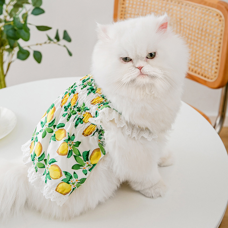 Gato primavera y verano borde de encaje fresco pequeño limón suspender falda verde dulce perro vestido ropa para perros mascotas