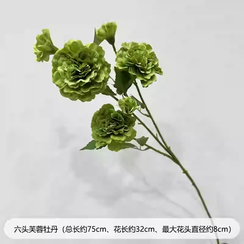 芦荀草绿植花龙须草假花白绿森系婚庆装饰自然风背景插花路引|undefined