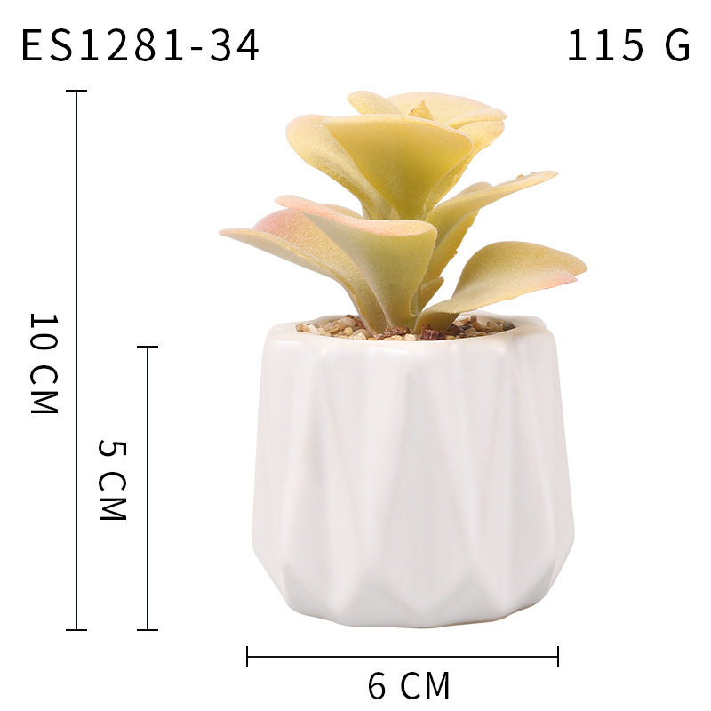 Pequeña ola al por mayor taza tipo simulación planta suculenta nórdico Muebles de Oficina Decoración fresca nuevo producto