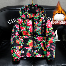 �|������40�ȴ����\��2024�¿���Ӻ�ů�Ї��L�^�������޷�