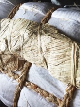 �M�����Ʋݐ�����r���Y�а��b�����K���������Y�к����Y