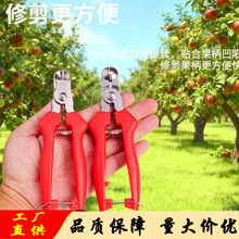 ���P䓸C����֦��ժ��������@���޻�ժ�O�����ӷ����ժ���ӹ�