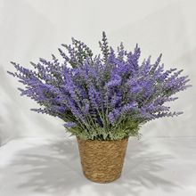 ���滨����ֲ�q޹�²� ��β�ݼٻ� ���յ��߼Ҿ��҃Ȳ廨�b[��