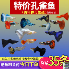 ��ȸ�~С�~�Ꭷ�~ȫ�N�������B�^�p�~С�͵�ˮ���R�~����~����