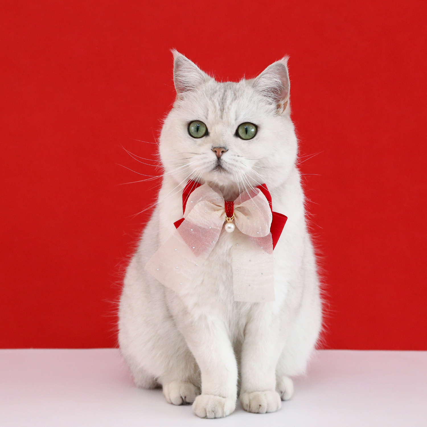 Arco de terciopelo, collar de mascotas, cumpleaños, Año Nuevo, corbata de perlas, princesa, gatito, cachorro, bib