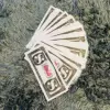 Fake ticket/100 photos