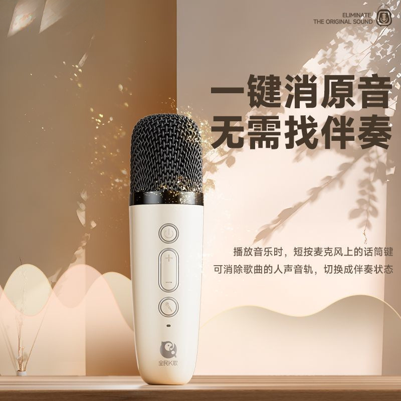 Mz32 Home Bluetooth Speaker Wireless Karaoke Audio Microphone Ktv Home Portable Audio Wholesale