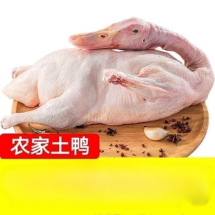 �r��ɢ�B�������ӬF�����������������������Ɀ���r�����