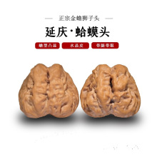 一代老树延庆蛤蟆头文玩核桃金蟾狮子头闷尖有腿有眼开背呱呱收藏