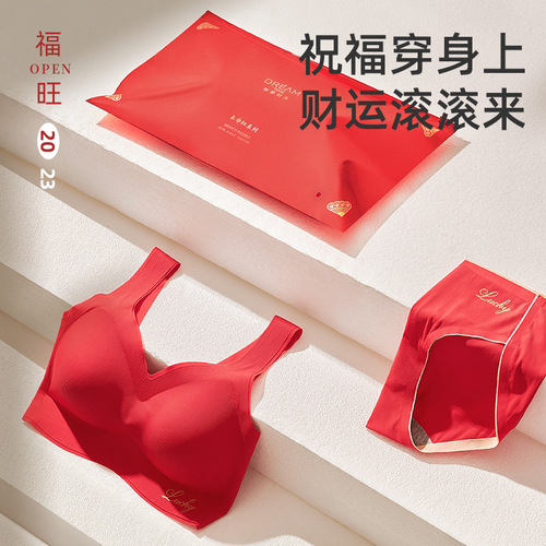 Red Loyal Year Lucky Innerwear Set for New Year Wedding Bride Girl Bra and Panties Gift Box