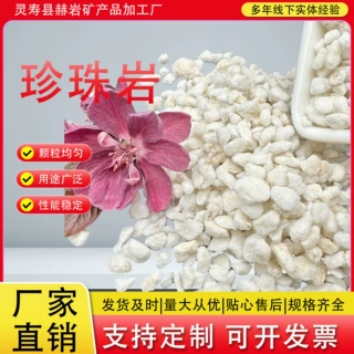 厂家批发膨胀珍珠岩颗粒建筑隔热养花用珍珠岩扦插基质营养土珍珠