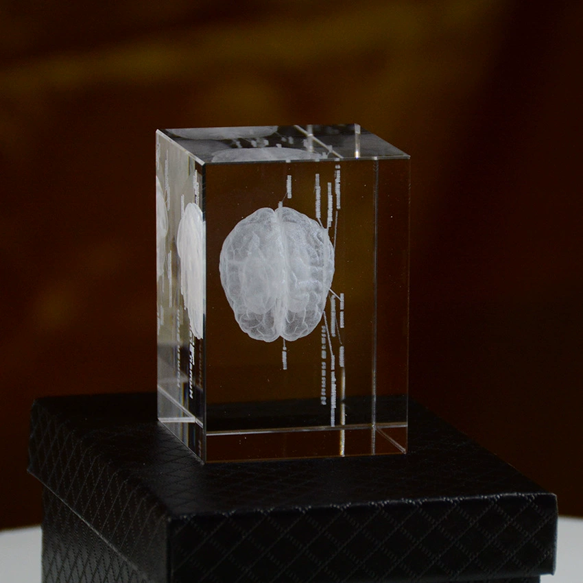 Сердце, минифигура, образец медицины, 3D, анатомия
