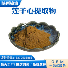 莲子心提取物 莲心碱0.6%  镐海供应 莲子心粉 量大优惠 现货包邮