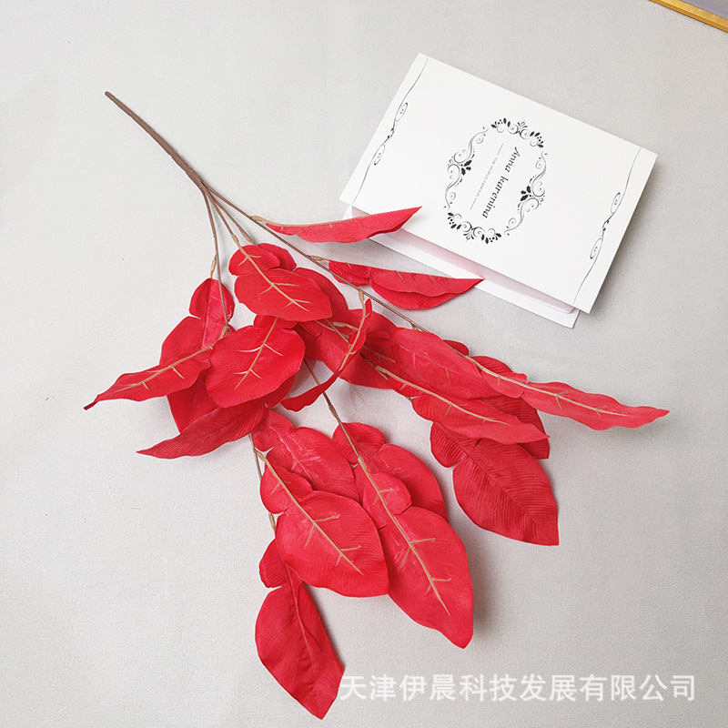 자몽잎 다발 - 빨간색