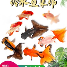 С���~���~�\����ˮ���w�ݽ���B�ͻ���ˮС���^�p�������m���~��